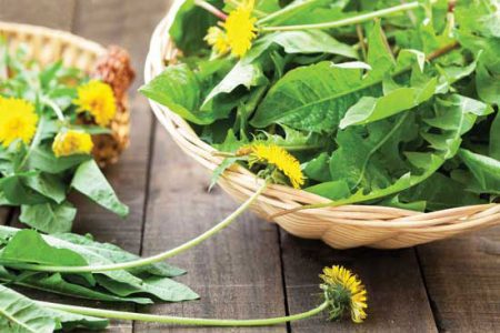 Mail Call March/April 2015: Dandelion Salad, Woodstoves, Heirloom Seeds and More Image